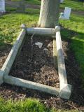 image of grave number 198780